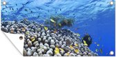 Tuinposter Onderwater rif met vissen - 60x30 cm - Tuindoek - Buitenposter