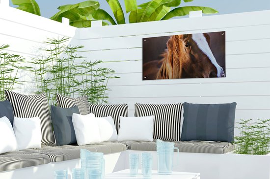 Poster de jardin Cheval - Léger - Fourrure - 60x30 cm - Toile de jardin - Poster extérieur