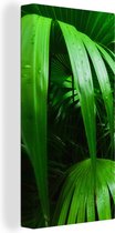 Canvas Schilderij Palmbladen in de jungle - 40x80 cm - Wanddecoratie
