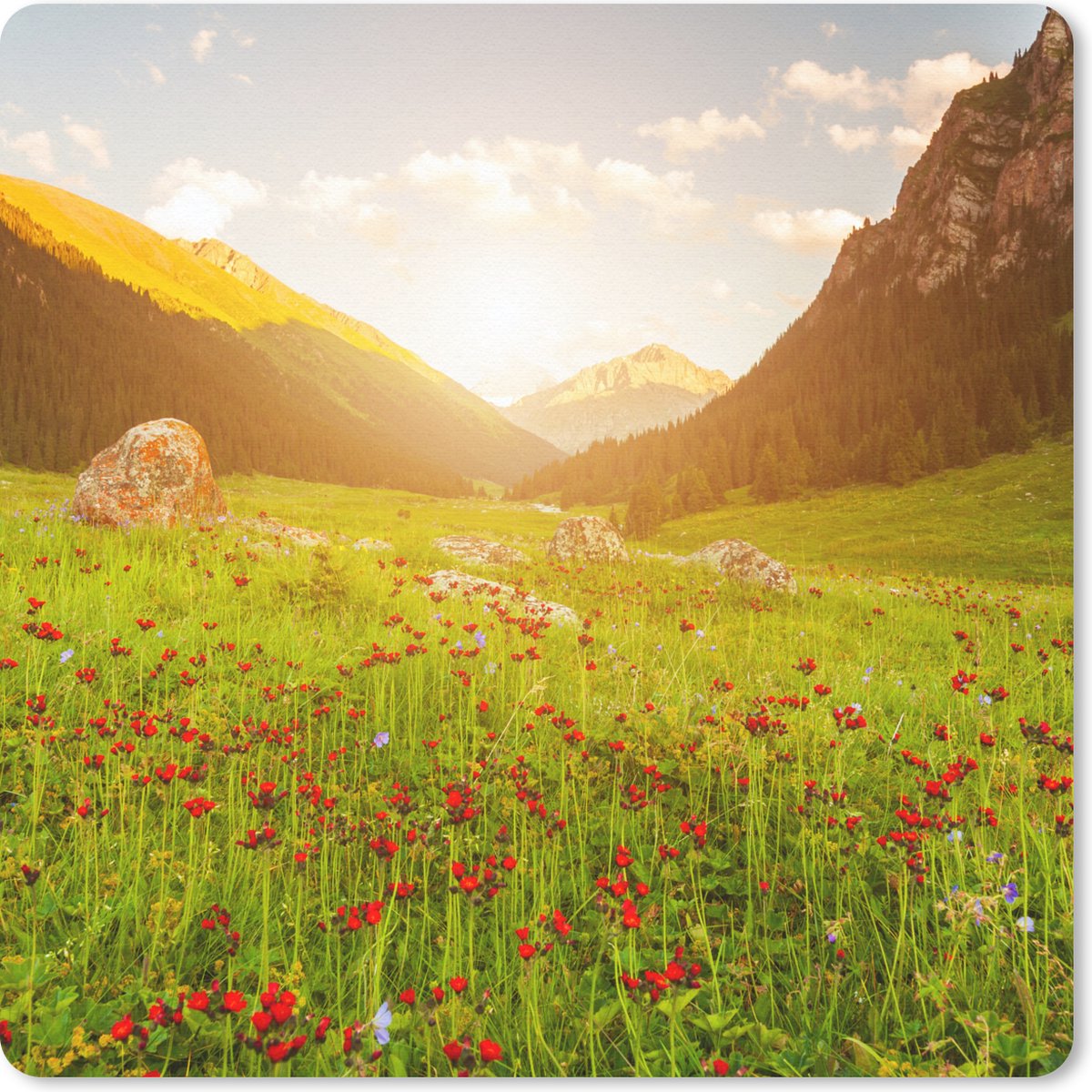 Muismat 30x30 cm - Mousepad Bloemen - Berg - Zon - Muismatten