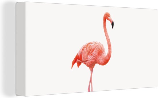 Canvas schilderij dieren - Wanddecoratie meisjes - Jongens - Flamingo - Vogels - Dieren - Kinderkamer decoratie - 40x20 cm - Kinder decoratie - Canvas kids