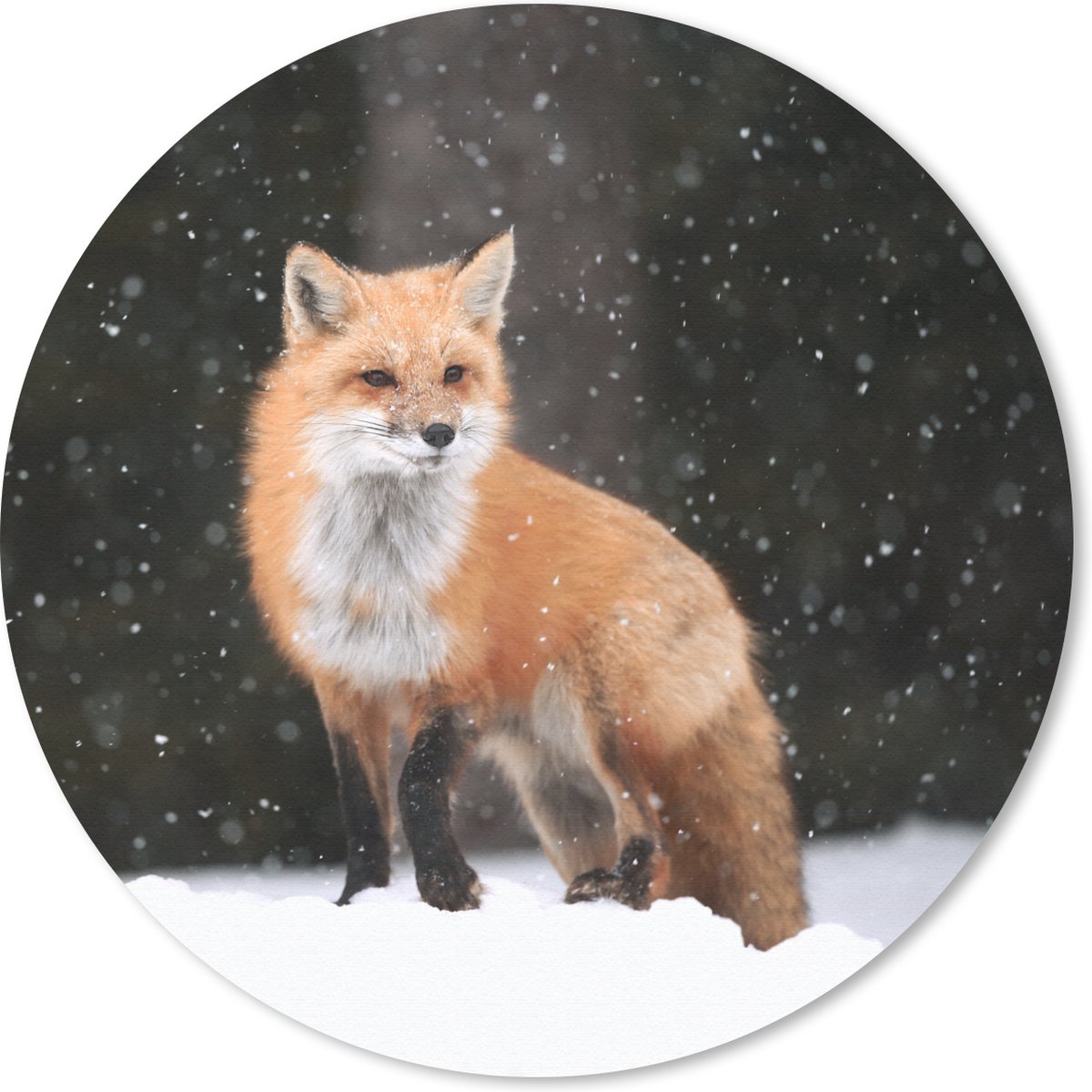 Muismat rond 30x30 cm - Mousepad Vos - Sneeuw - Winter - Ronde muismatten