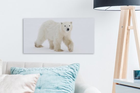 Tableau sur toile Ours Polaire - Neige - Wit - 40x20 cm - Décoration murale