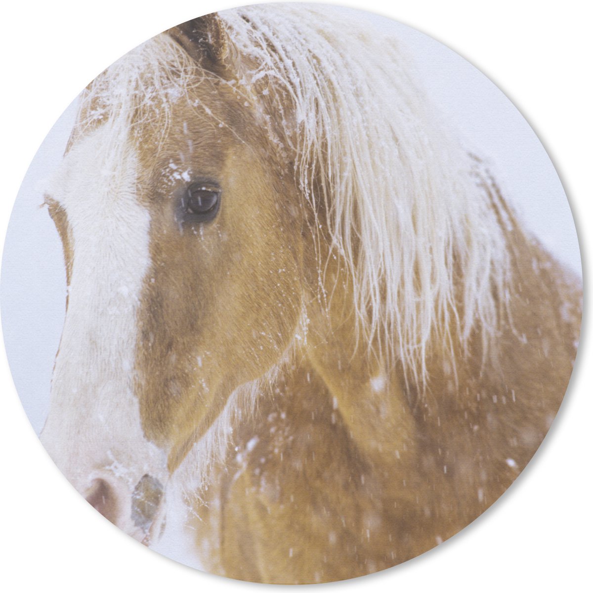 Muismat rond 40x40 cm - Mousepad Paard - Sneeuw - Winter - Ronde muismatten