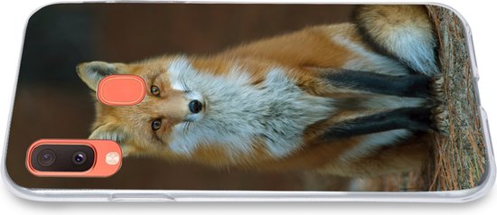 Coque Samsung Galaxy A20e - Renard - Macro - Rouge - Siliconen