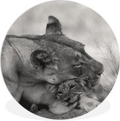 WallCircle - Wandcirkel ⌀ 90 - Leeuwin - Welp - Zwart - Ronde schilderijen woonkamer - Wandbord rond - Muurdecoratie cirkel - Kamer decoratie binnen - Wanddecoratie muurcirkel - Woonaccessoires