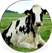 WallCircle - Cercle Mural - Cercle Mural - Vache - Herbe - Animaux - Berg - Aluminium - Dibond - 90x90 cm - Intérieur et Extérieur