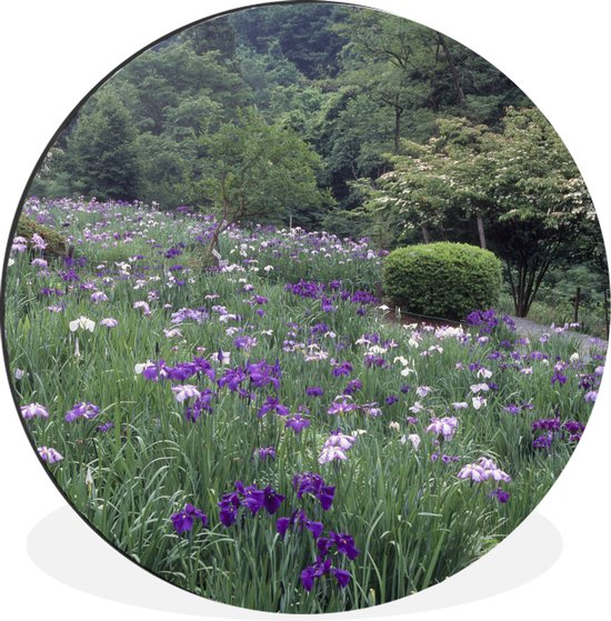 WallCircle - Wandcirkel - Muurcirkel - Japanse irisbloemen - Heuvel - Struiken - Aluminium - Dibond - ⌀ 60 cm - Binnen en Buiten
