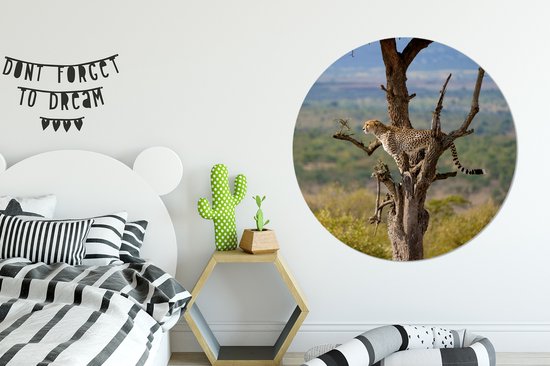 WallCircle - Wall Circle - Wall Circle Indoor - Léopard - Arbre - Animal - 140x140 cm - Décoration murale - Peintures Ronds
