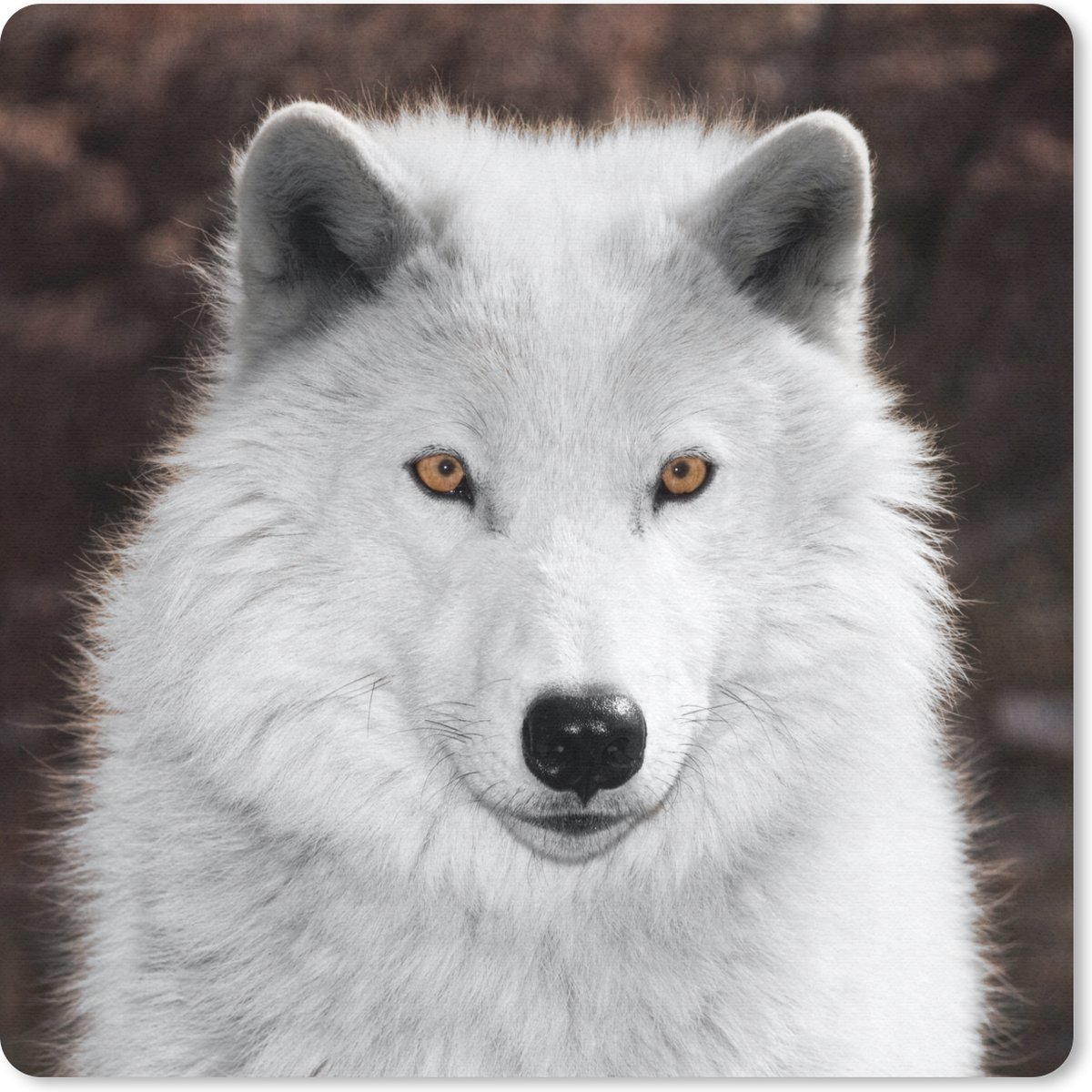 Muismat 30x30 cm - Mousepad Wolf - Wit - Portret - Muismatten