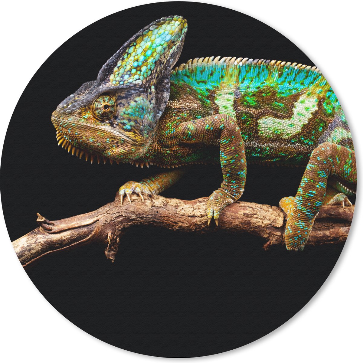 Muismat rond 30x30 cm - Mousepad Kameleon - Tak - Groen - Ronde muismatten
