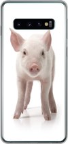 Samsung Galaxy S10 hoesje - Varken - Dieren - Wit - Siliconen Telefoonhoesje
