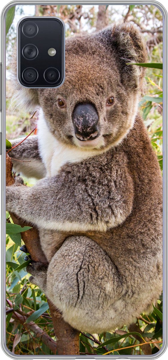 Telefoonhoesje Geschikt voor Samsung Galaxy A71 hoesje - Koala - Boom - Bladeren - Kinderen - Jongens - Meiden - Siliconen Telefoonhoesje Telefoonhoesje