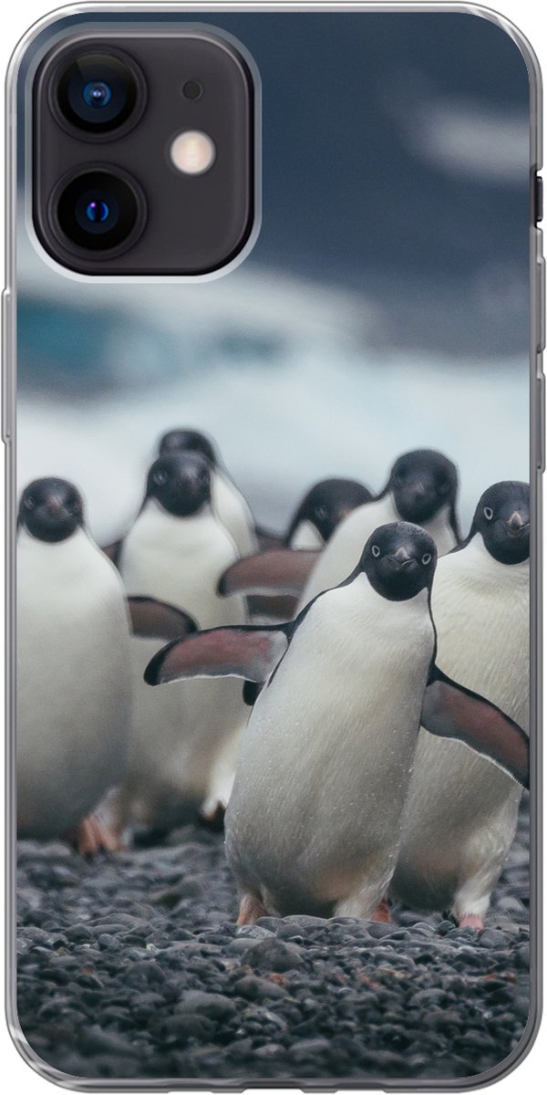 Telefoonhoesje Geschikt voor iPhone 12 hoesje - Adelie pinguïns op het strand - Siliconen Telefoonhoesje Telefoonhoesje