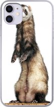 Coque iPhone 11 - Furet - Animaux - Fourrure - Siliconen