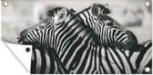 Schuttingposter Knuffelende zebra's - 200x100 cm - Tuindoek
