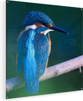 Artaza Glasschilderij - Blauwe IJsvogel Op Een Tak - 80x80 - Groot - Plexiglas Schilderij - Foto op Glas