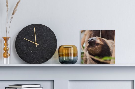 Tableau sur toile Un paresseux suspendu la tête en bas de près - 20x20 cm - Décoration murale