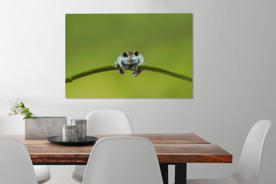 Tableau Grenouille - Branche - Vert - 60x40 cm - Décoration murale