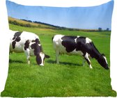 Sierkussens - Kussentjes Woonkamer - 50x50 cm - Koe - Dieren - Gras