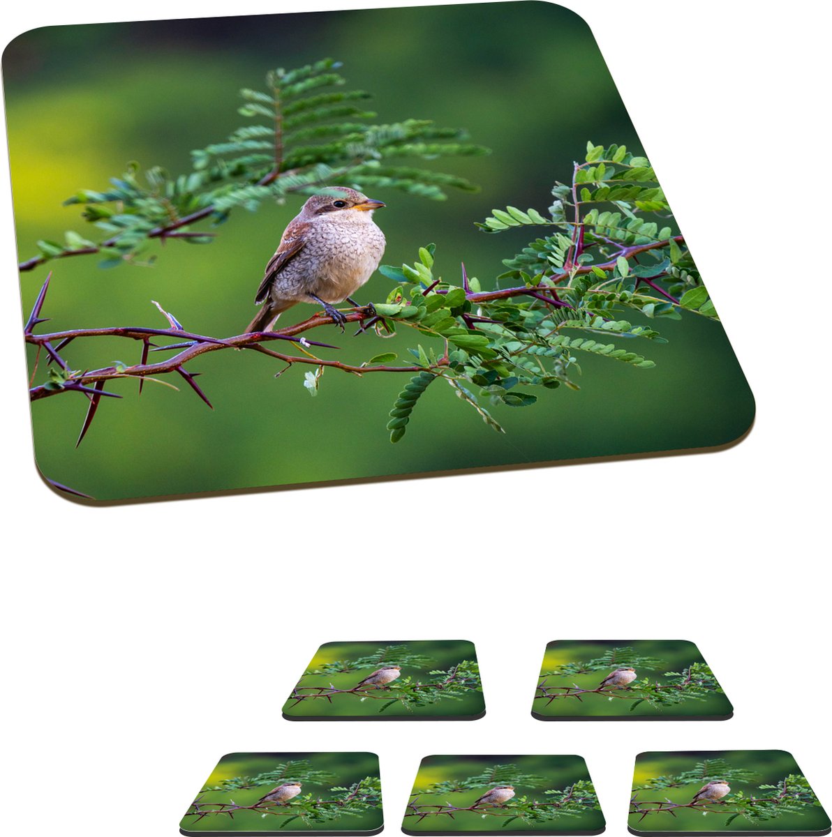Onderzetters voor glazen - Vogel - Boom - Bos - 10x10 cm - Glasonderzetters - 6 stuks