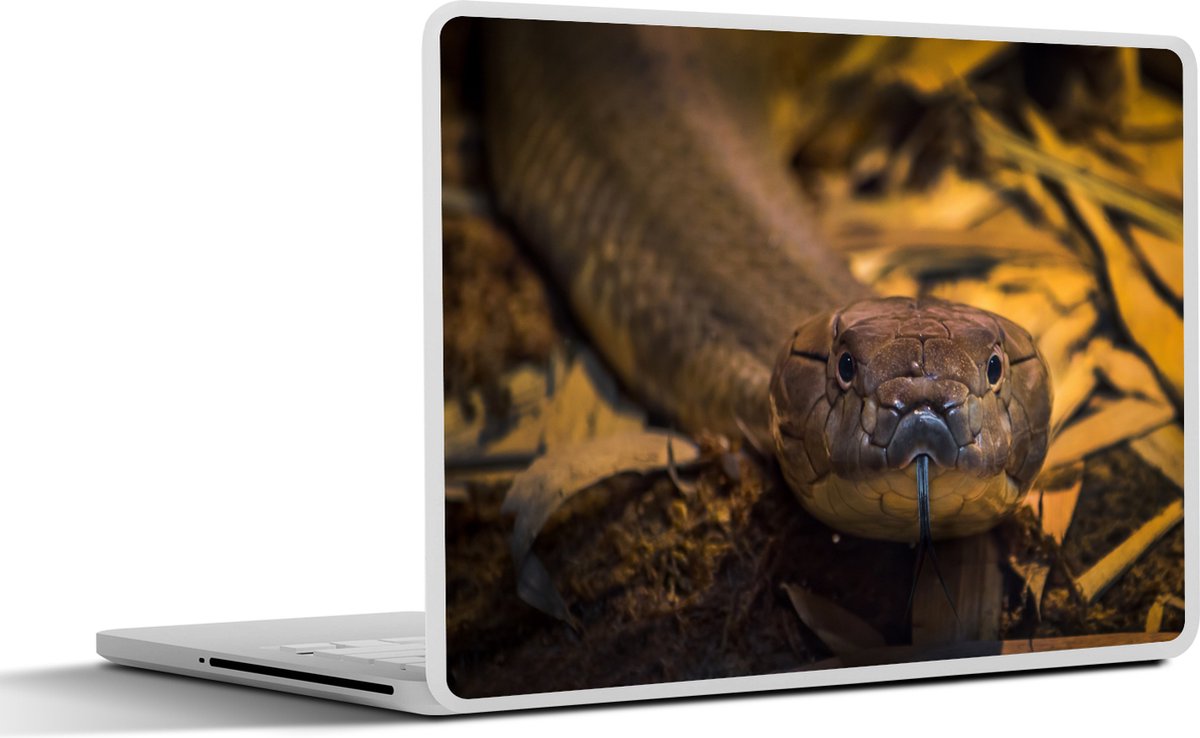 Afbeelding van product SleevesAndCases  Laptop sticker - 11.6 inch - Een close-up van de giftigste slang ter wereld een koningscobra