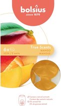 48 stuks Bolsius wax melts mango geur (25 uur)