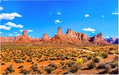 Een weg doorkruist de Mojavewoestijn nabij Las Vegas - Foto op Forex - 60 x 40 cm