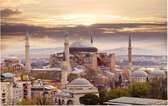 De wereldberoemde moskee Hagia Sophia in Istanbul - Foto op Forex - 60 x 40 cm