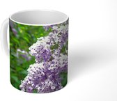 Mok - Seringen in de tuin - 350 ML - Beker
