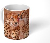 Mok - Baby cheeta's - 350 ML - Beker