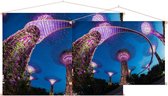 Neon verlichte tuinstad Gardens by the Bay in Singapore - Foto op Textielposter - 60 x 40 cm