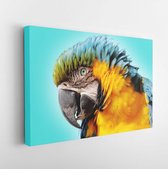 Onlinecanvas - Schilderij - Portret Een Schattige En Gekleurde Papegaai Art Horizontaal Horizontal - Multicolor - 50 X 40 Cm