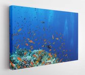 Onlinecanvas - Schilderij - Bright Coral Reef Art Horitonzal Horizontal - Multicolor - 80 X 60 Cm