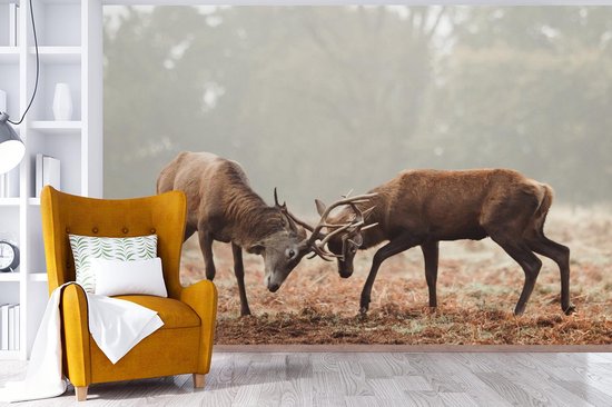 Papier peint - Papier peint photo Cerf - Forêt - Herbe - Largeur 330 cm x hauteur 220 cm
