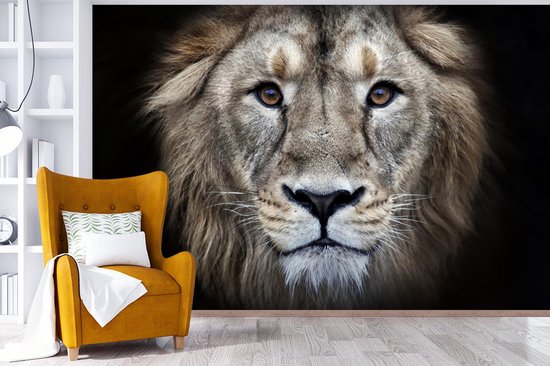 Papier peint - Papier peint photo Lion - Portrait - Sauvage - Largeur 420 cm x hauteur 280 cm