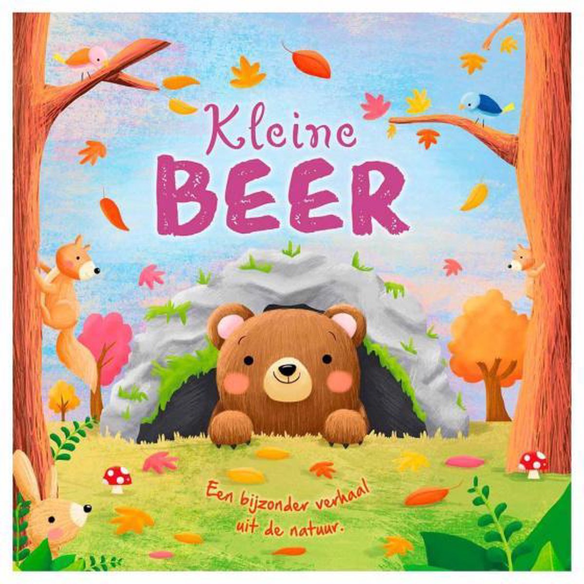 kinderboek Kleine beer junior papier