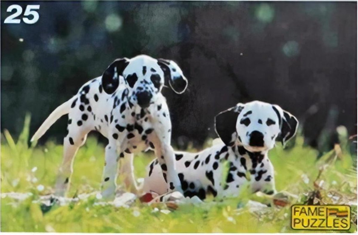 Afbeelding van product JINS  legpuzzel Dalmati√´rs junior 25 stukjes