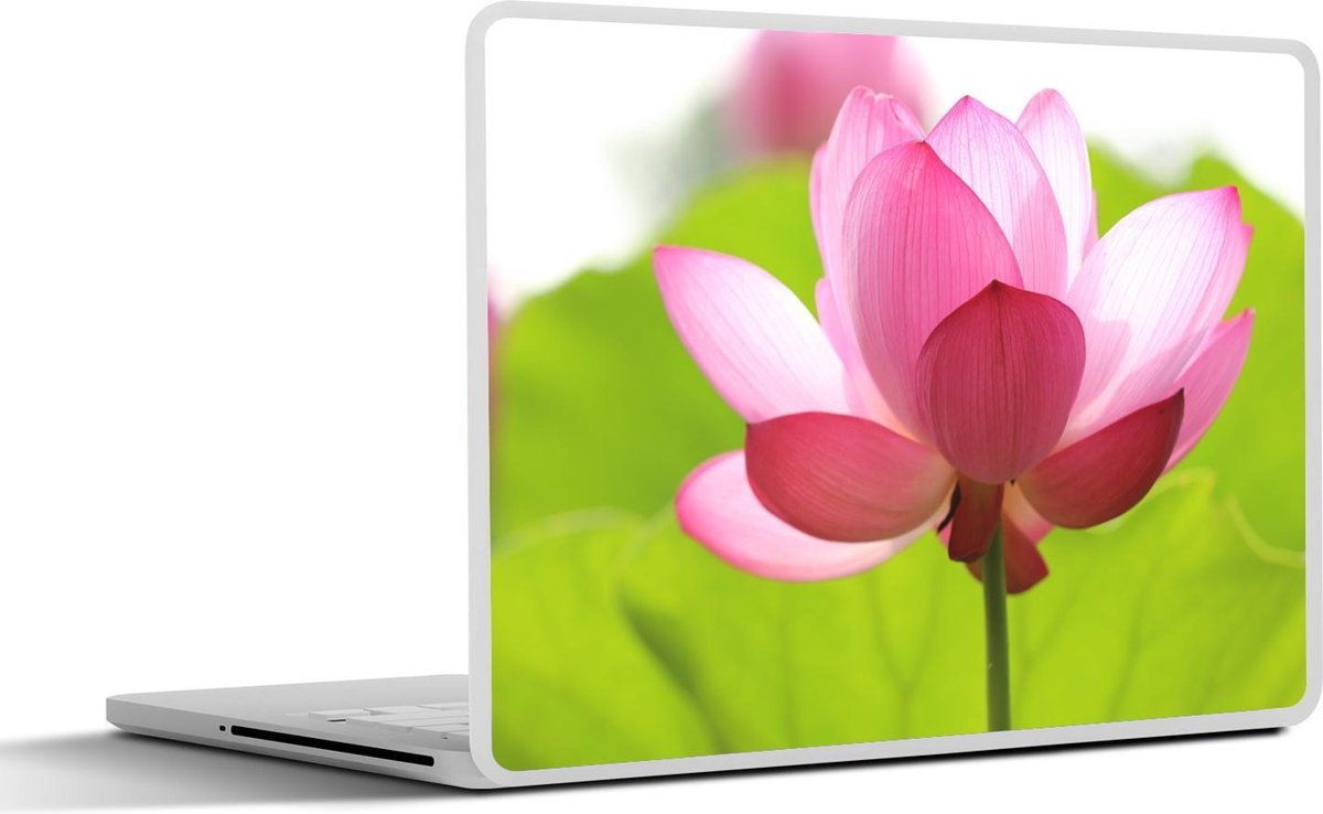 Afbeelding van product SleevesAndCases  Laptop sticker - 17.3 inch - Bloemen - Bladeren - Roze