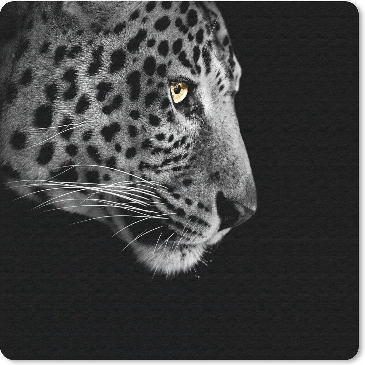 Muismat 20x20 cm - Mousepad Luipaard - Zwart - Wit - Muismatten