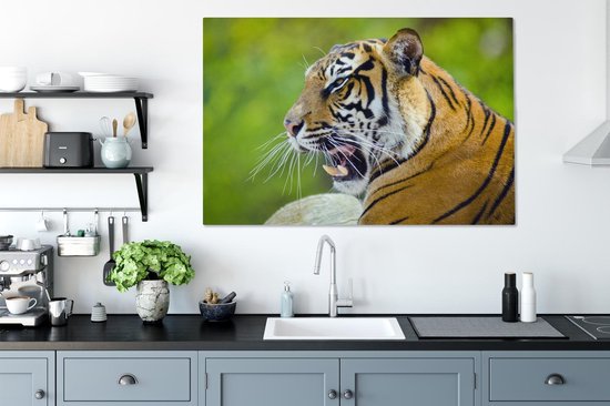 Toile de tigre rugissant 120x80 cm - Tirage photo sur toile (Décoration murale salon / chambre) / Peintures sur toile animaux