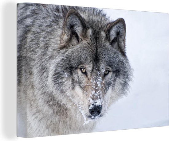 Canvas Schilderij Wolf - Sneeuw - Dieren - 60x40 cm - Wanddecoratie