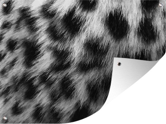 Tuin decoratie Close-up panterprint - zwart wit - 40x30 cm | bol.