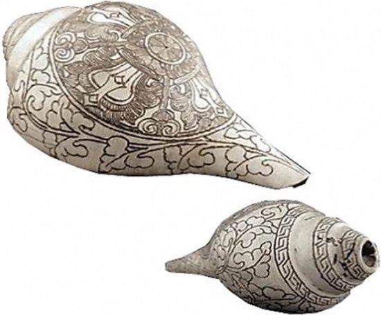 Rituele Dubbele Dorje Puja Schelp