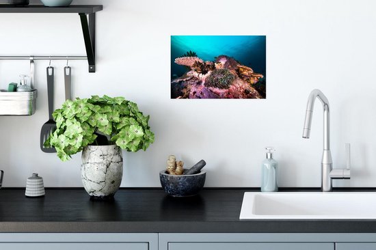 Affiche - Corail coloré dans une mer sombre - 30x20 cm