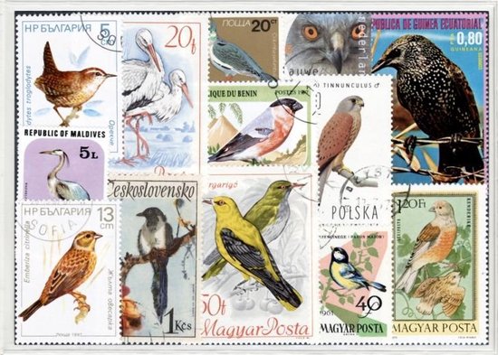 Thumbnail van een extra afbeelding van het spel Nederlandse Vogels - Typisch Nederlands postzegel pakket & souvenir. Collectie van 25 verschillende postzegels van Nederlandse vogels – kan als ansichtkaart in een A6 envelop - authentiek cadeau - kado - kaart - vogel - holland - dutch - birds