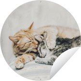 Garden Circle Cat - Cuddle - Chaise - 90x90 cm - Affiche Ronde de Jardin - Extérieur