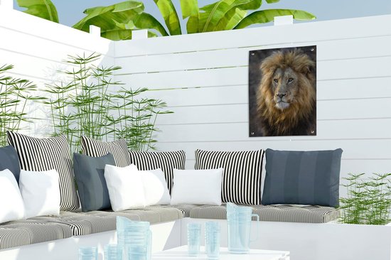 Décoration de Jardin Lion - Portrait - Sauvage - 30x40 cm - Toile de jardin