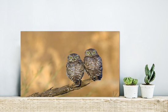 Couple de hiboux Aluminium 30x20 cm - petit - Tirage photo sur aluminium (décoration murale métal)