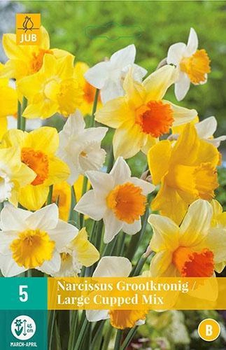 Narcis Grootkronig Mix